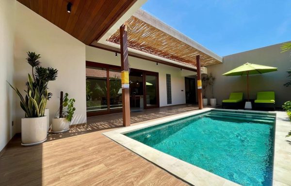 WhatsApp Image 2026-03-15 at 09.52.34